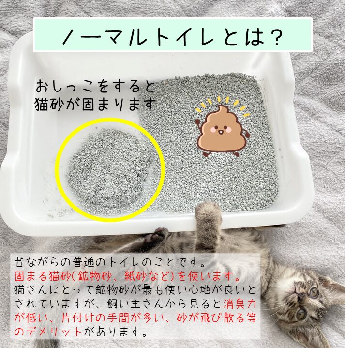 子猫用の鉱物砂トイレ
