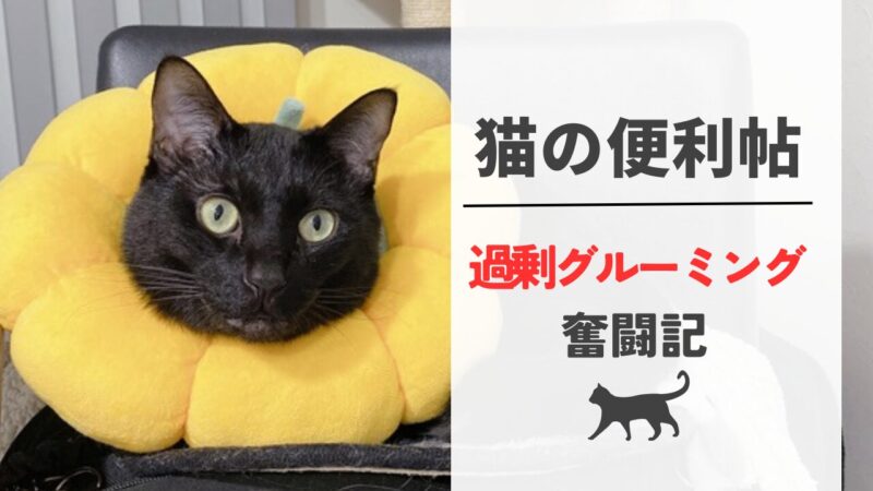 猫の過剰グルーミング記事のリンクバナー