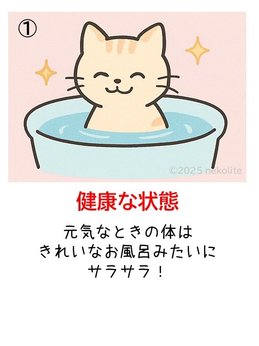 猫の急性腎障害（AKI）のイメージ図