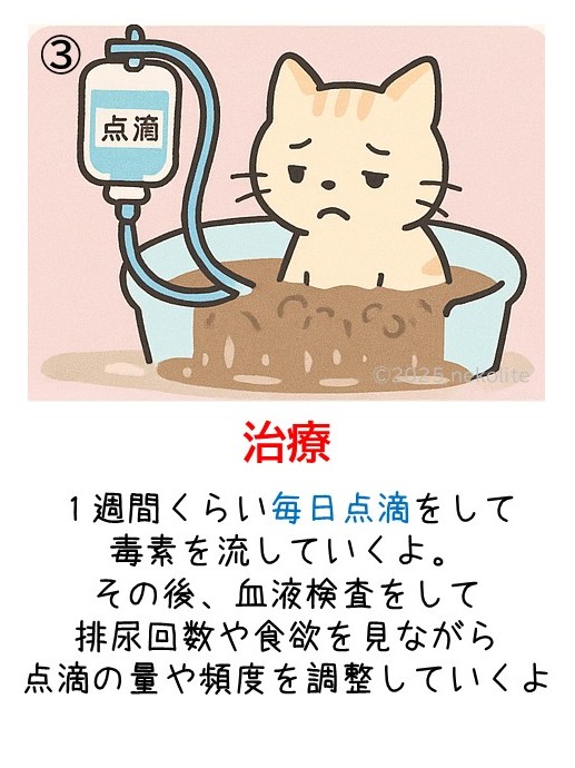 猫の急性腎障害（AKI）のイメージ図