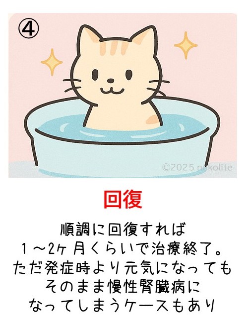 猫の急性腎障害（AKI）のイメージ図