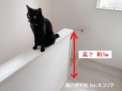 手すりの上にのる黒猫