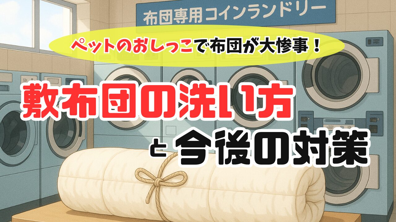 布団が洗えるコインランドリー