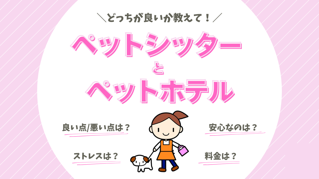 ペットシッターとペットホテルの体験談