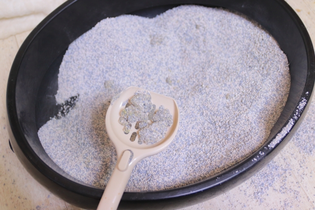 猫のノーマルトイレ