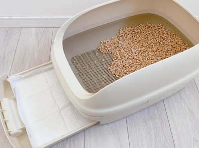 猫のシステムトイレ