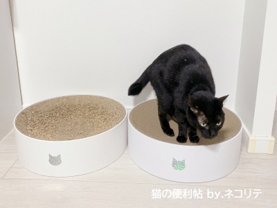 猫用爪とぎバリバリボウル