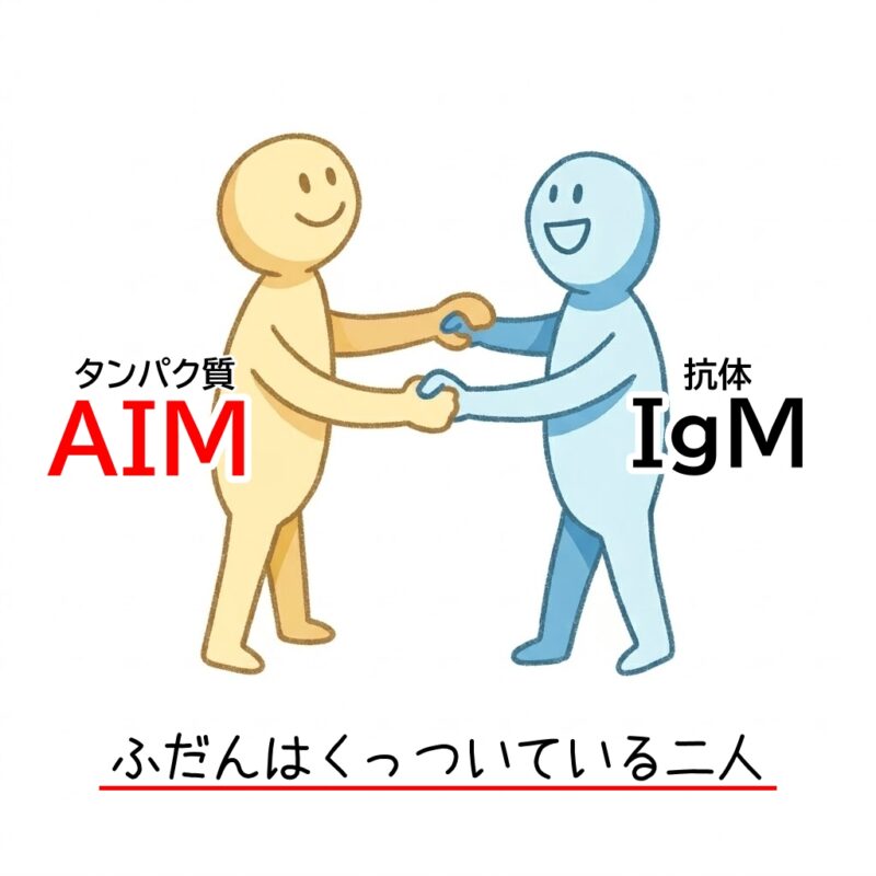 猫の腎臓病薬「AIM」の働き図解