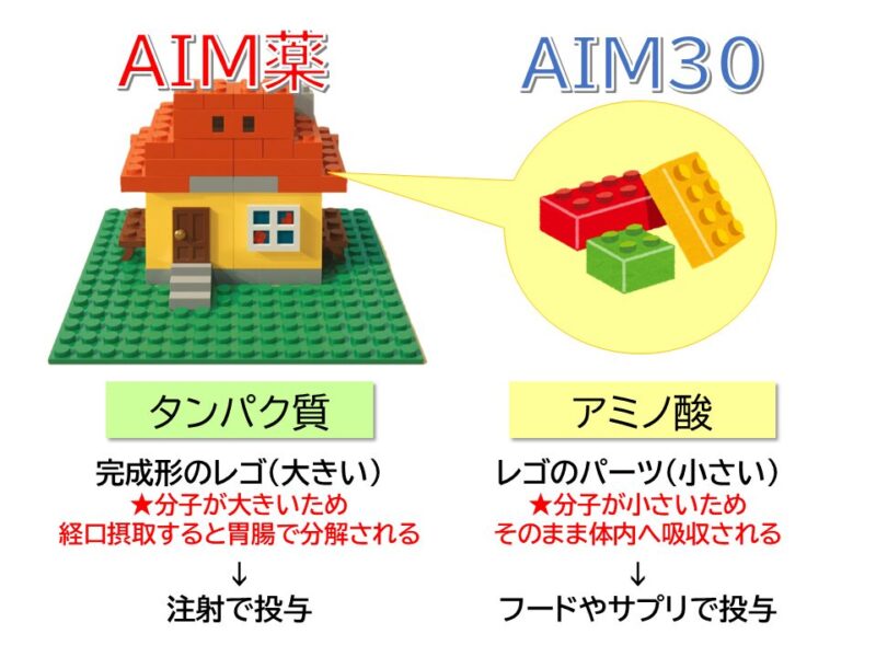 猫の腎臓病薬「AIM」の働き図解