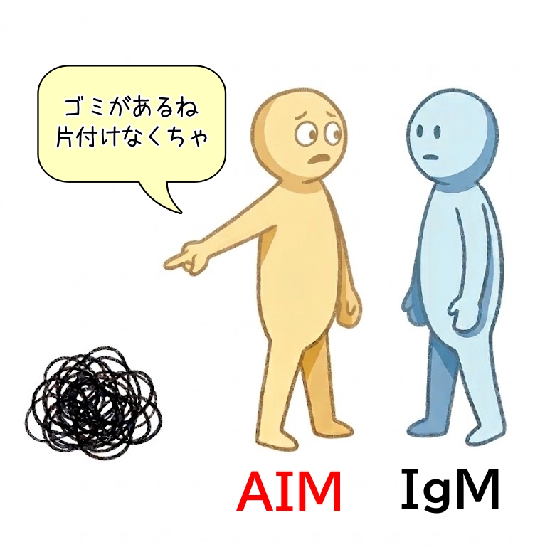 猫の腎臓病薬「AIM」の働き図解