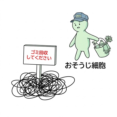 猫の腎臓病薬「AIM」の働き図解