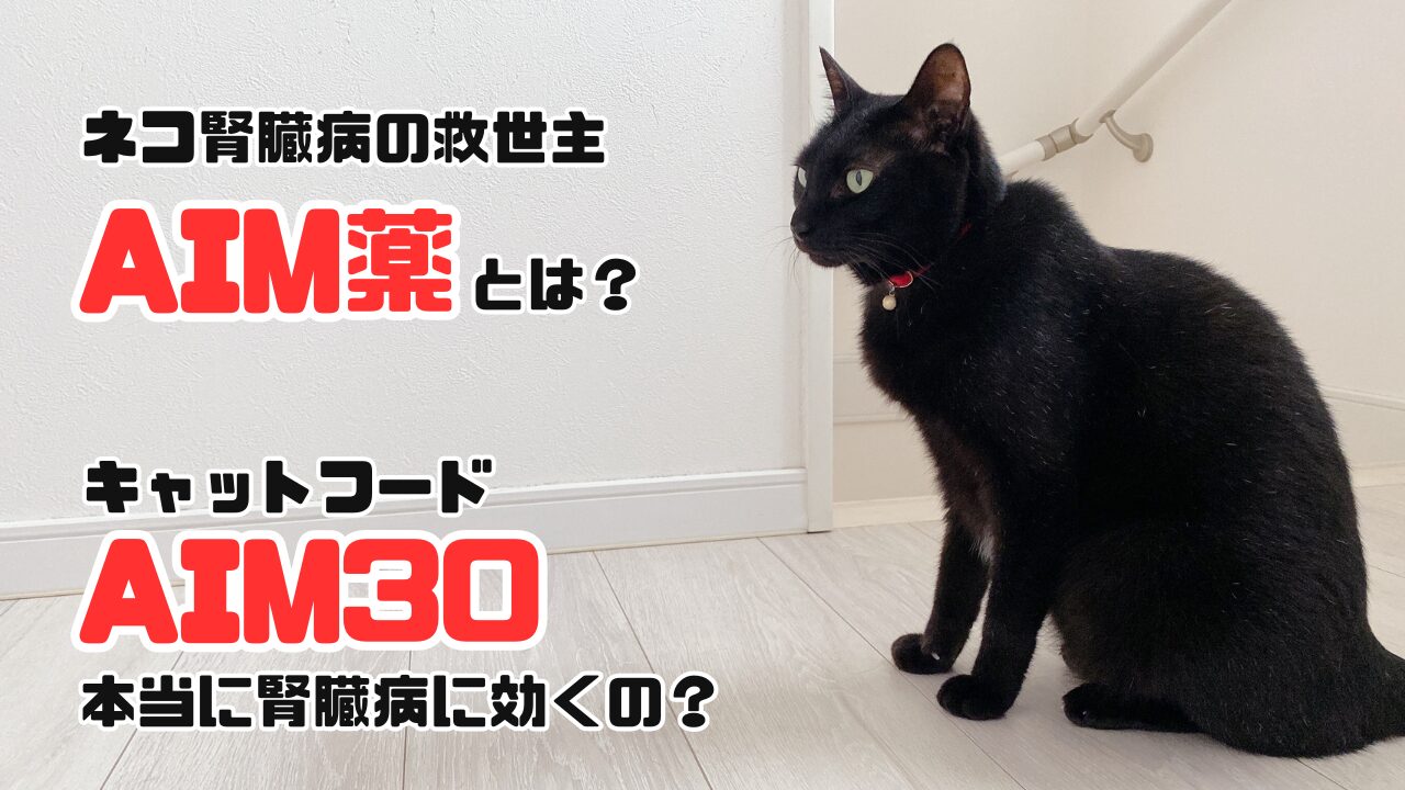 猫の腎臓病とAIM記事