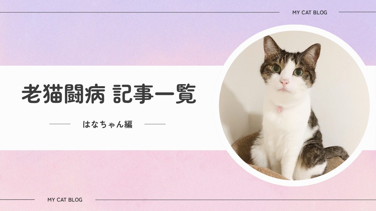はな闘病記