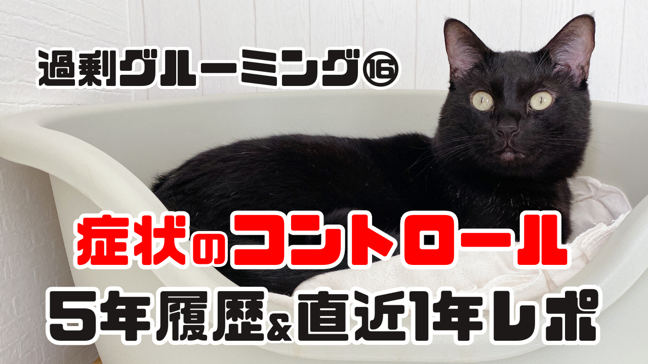 猫の過剰グルーミング記事のサムネイル