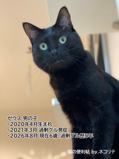 過剰グルーミングブログ